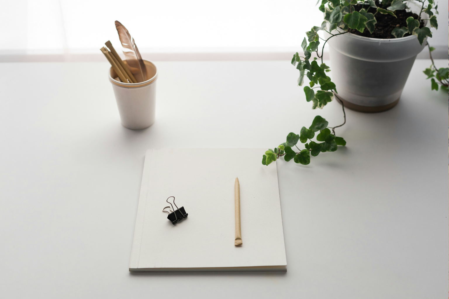 Schreibtisch mit Notizbuch, Stift und Pflanze
